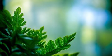 听见声音找掩体究竟是哪首歌？