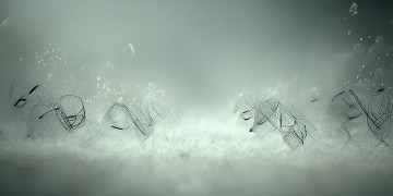 姓氏歌真的有规律可循吗？