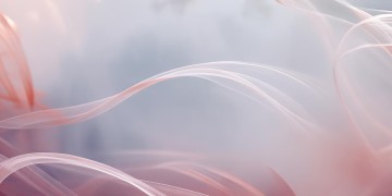 明天阴历会是哪首歌？