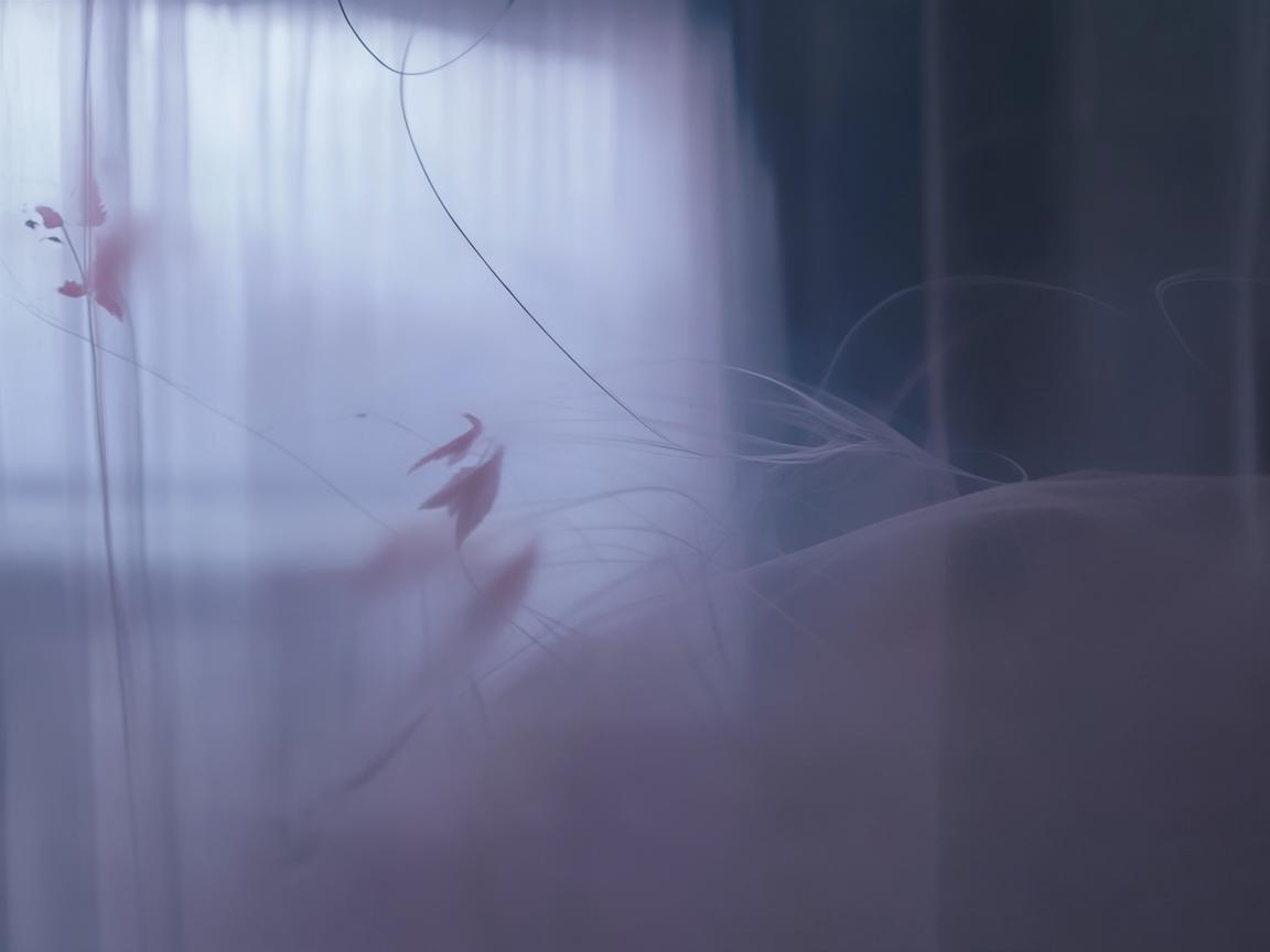 今生你与他的缘份究竟是哪首歌？
