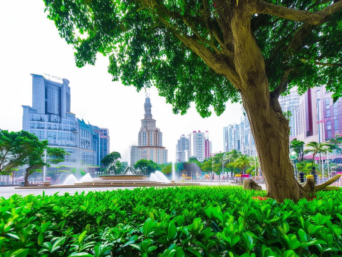 南宁朝阳广场的歌究竟叫什么？