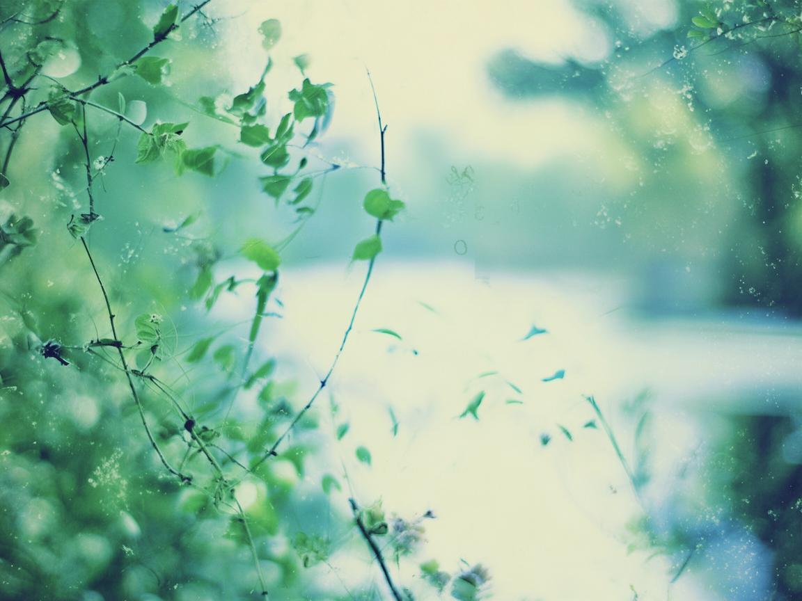 从前怕你离开我这句歌词出自哪首歌? 从前怕你离开我这句歌词出自哪首歌?