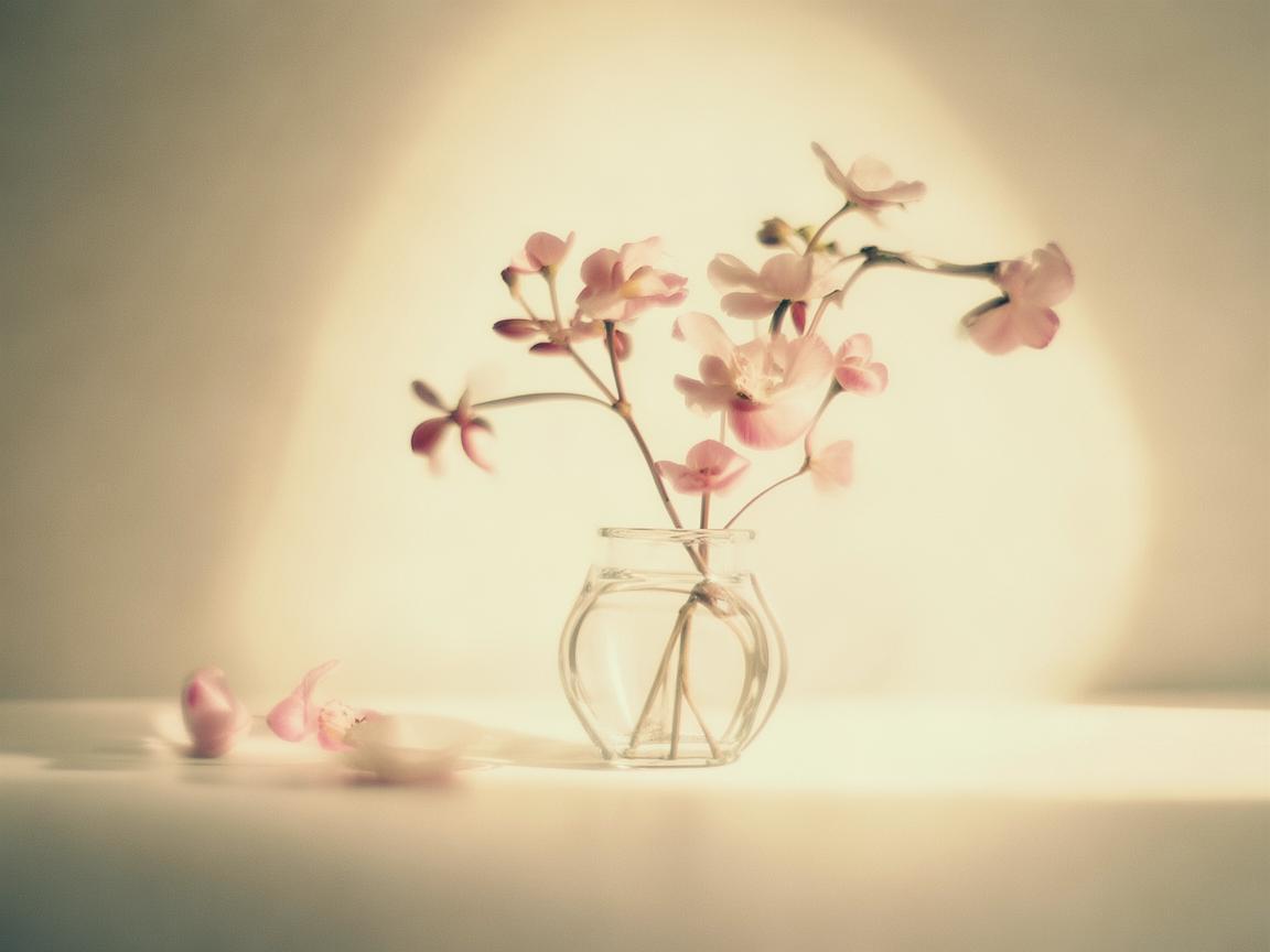 简简单单的舍不得究竟是哪首歌？